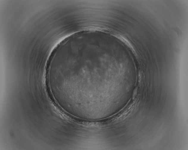 X0000115091020200911101519