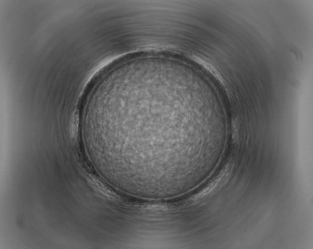 X0000115091021200911101519