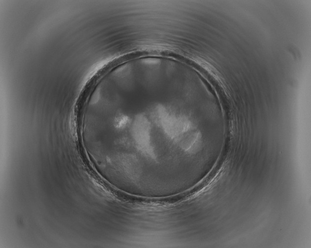 X0000115091022200911101519
