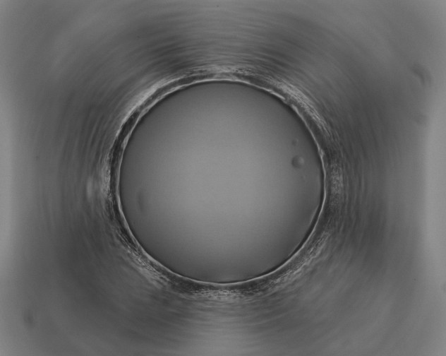 X0000115091023200911101519