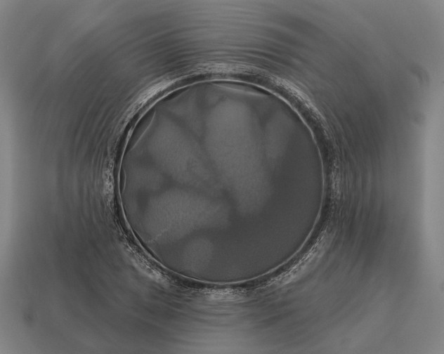 X0000115091025200911101519