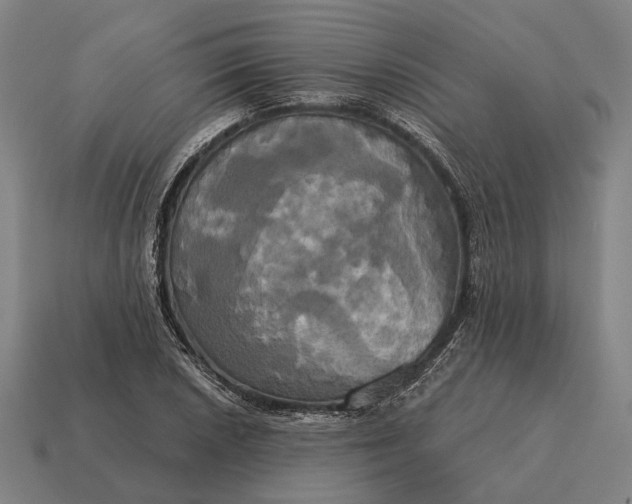 X0000115091026200911101519