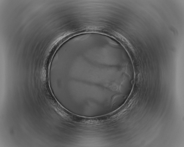 X0000115091027200911101519