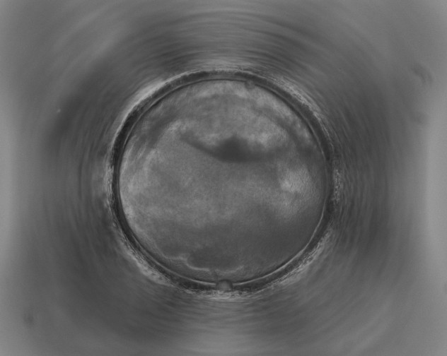 X0000115091029200911101519