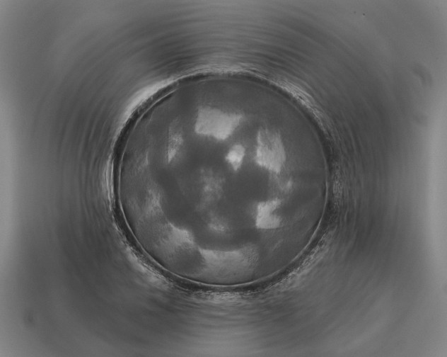 X0000115091030200911101519