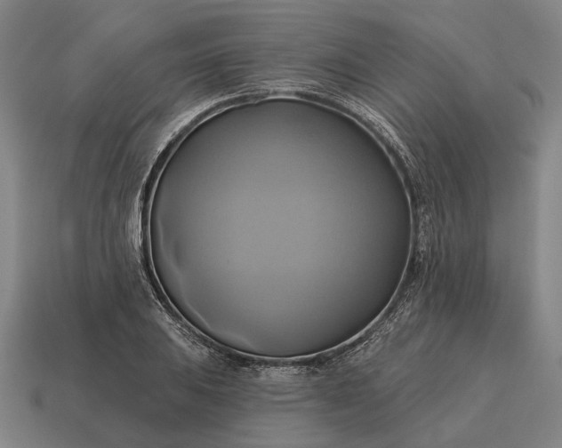 X0000115091031200911101519