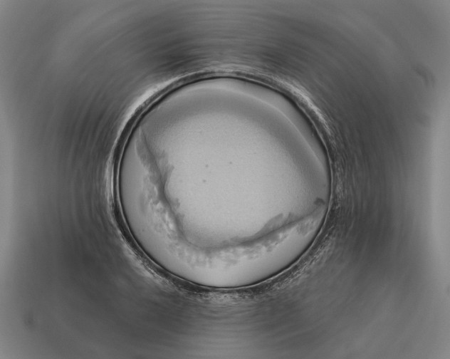 X0000115091032200911101519