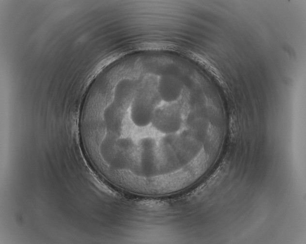 X0000115091033200911101519