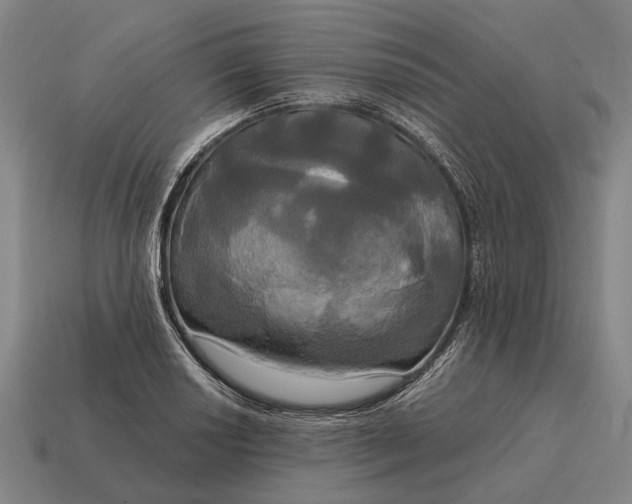 X0000115091034200911101519