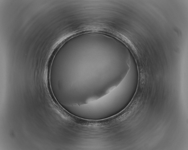 X0000115091035200911101519