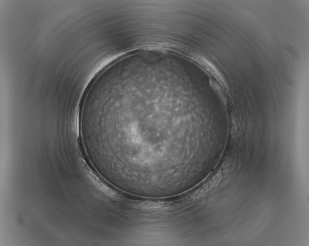 X0000115091036200911101519