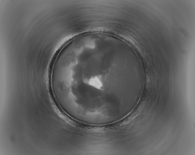 X0000115091038200911101519