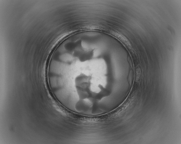 X0000115091039200911101519