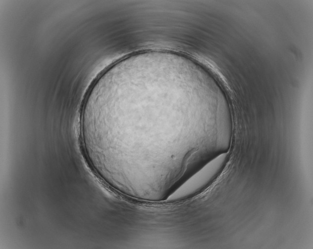 X0000115091040200911101519