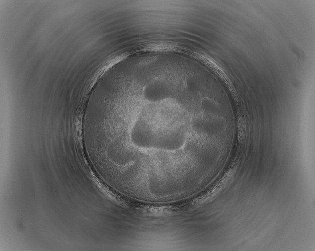 X0000115091041200911101519
