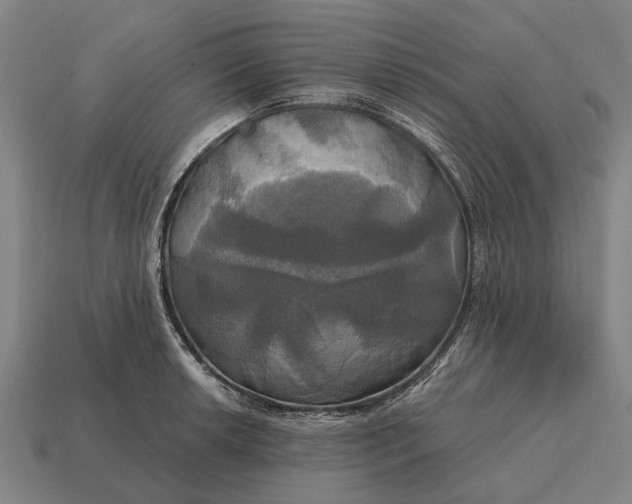X0000115091042200911101519