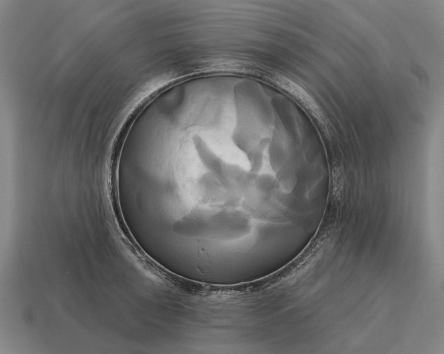 X0000115091043200911101519