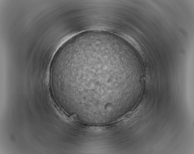 X0000115091044200911101520