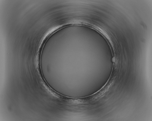 X0000115091045200911101520