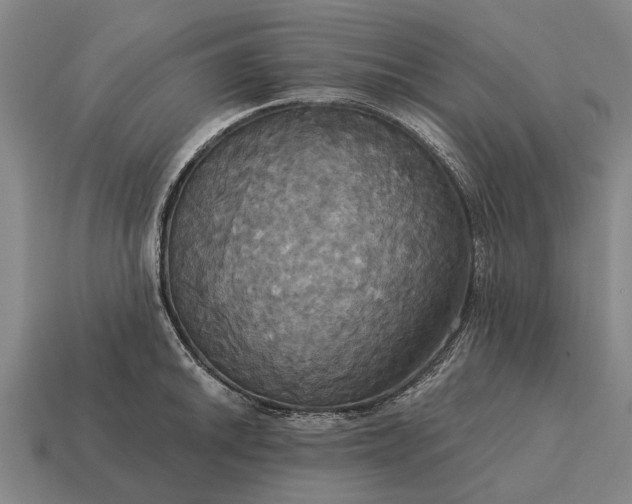 X0000115091046200911101520