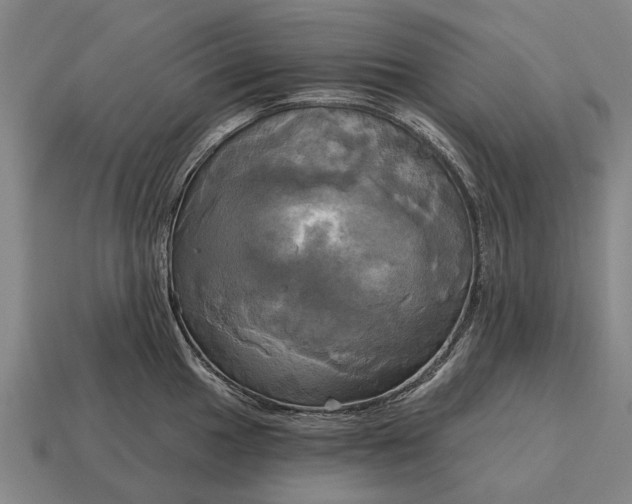 X0000115091049200911101520