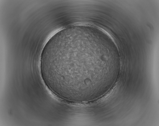 X0000115091050200911101520