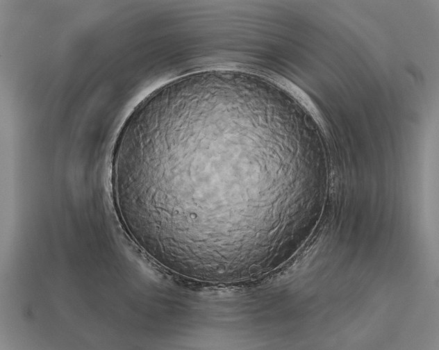 X0000115091051200911101520