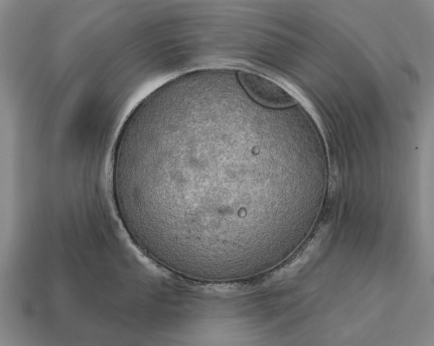 X0000115091053200911101520