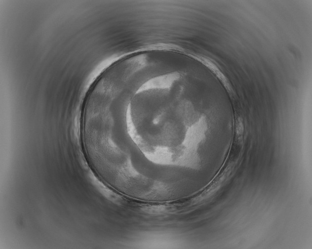 X0000115091054200911101520