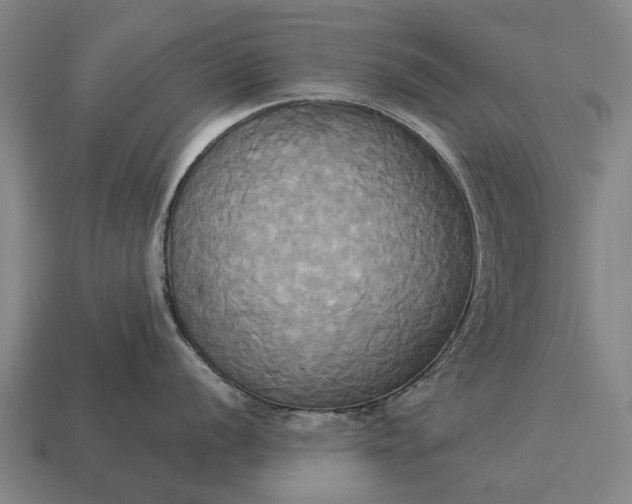 X0000115091056200911101520
