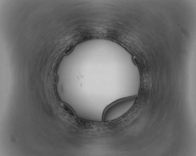 X0000115091057200911101519