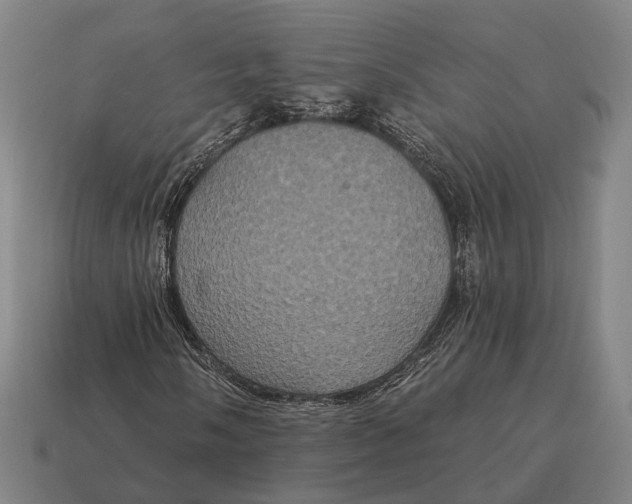X0000115091058200911101519