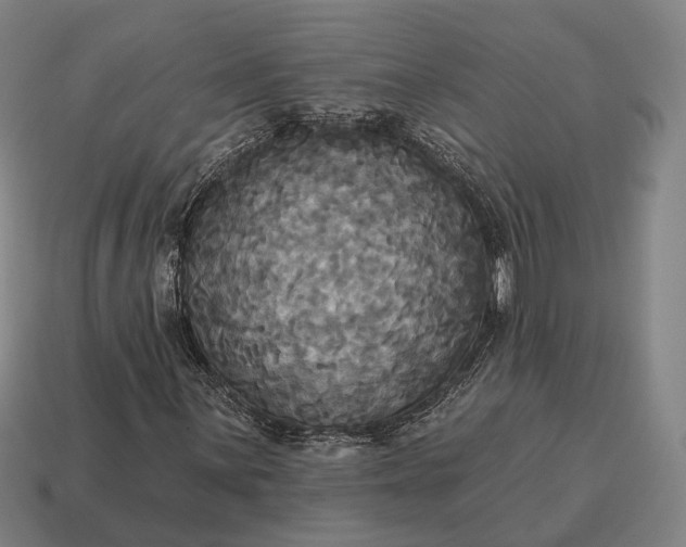 X0000115091059200911101519