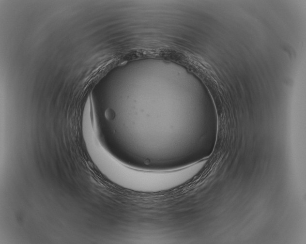 X0000115091060200911101519