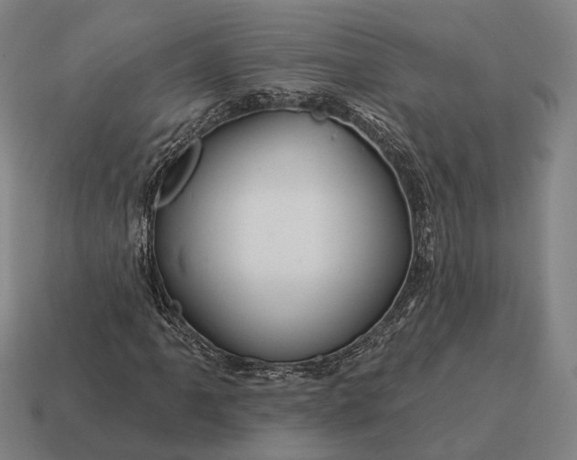 X0000115091061200911101519