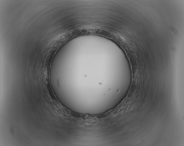 X0000115091062200911101519