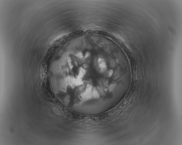 X0000115091063200911101519
