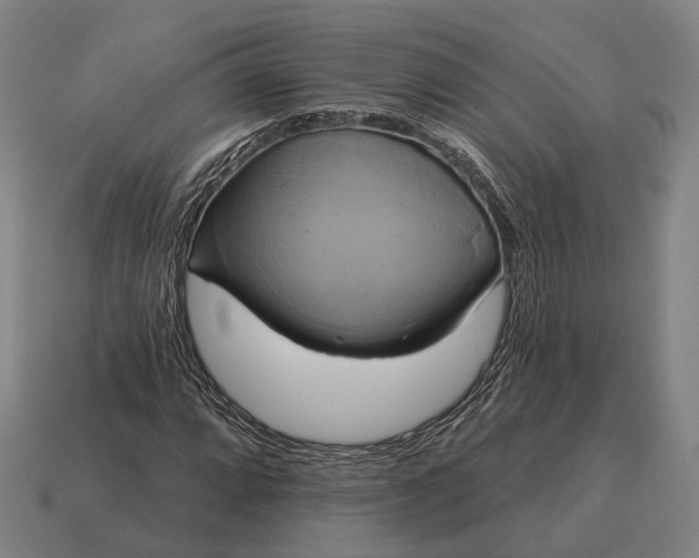 X0000115091064200911101519