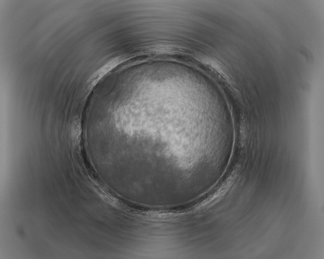 X0000115091065200911101519