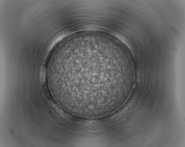 X0000115091067200911101519