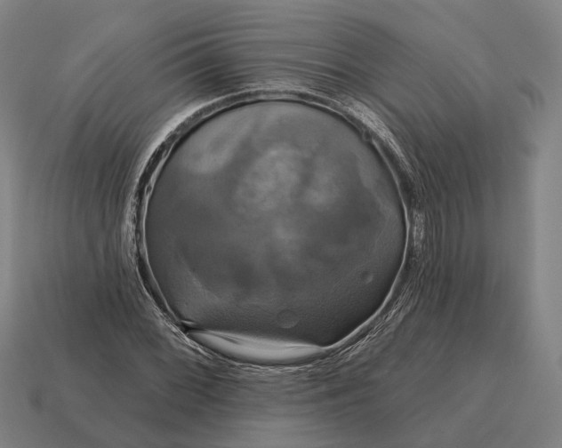 X0000115091068200911101519