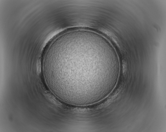 X0000115091069200911101519