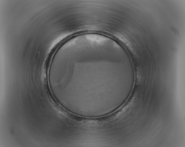 X0000115091070200911101519