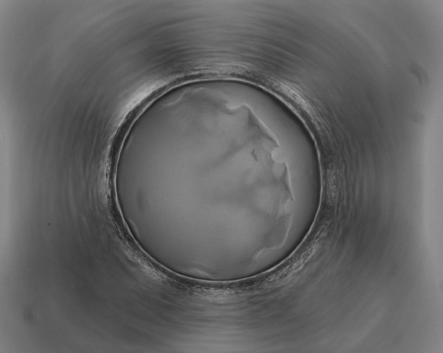 X0000115091071200911101519