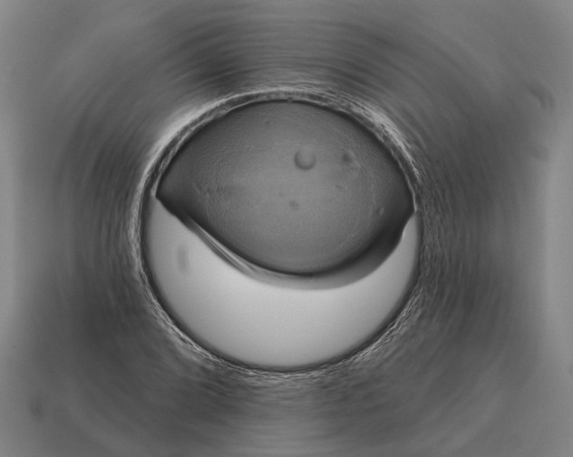 X0000115091072200911101519