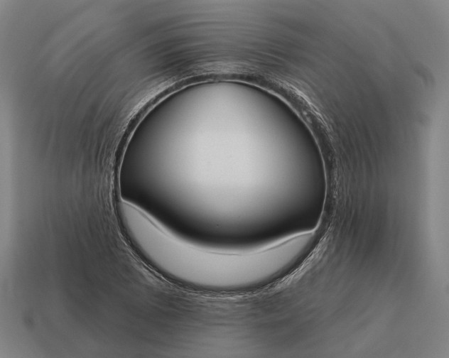 X0000115091073200911101519