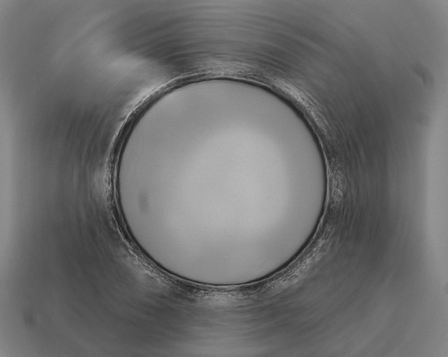 X0000115091074200911101519