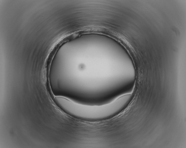 X0000115091075200911101519