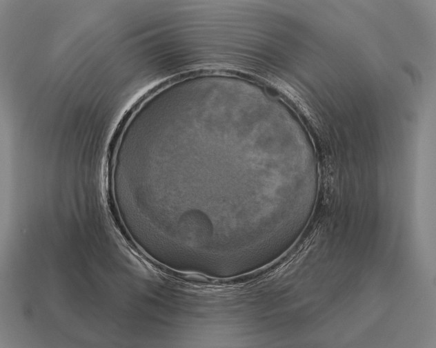 X0000115091076200911101519
