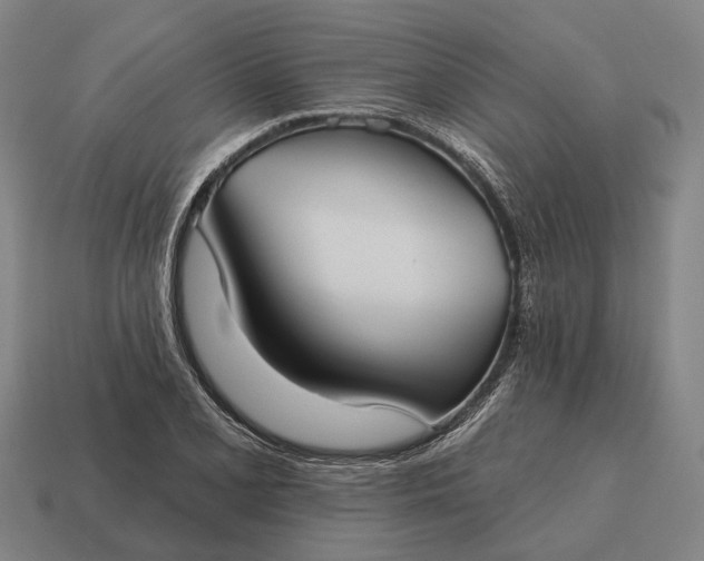 X0000115091077200911101519